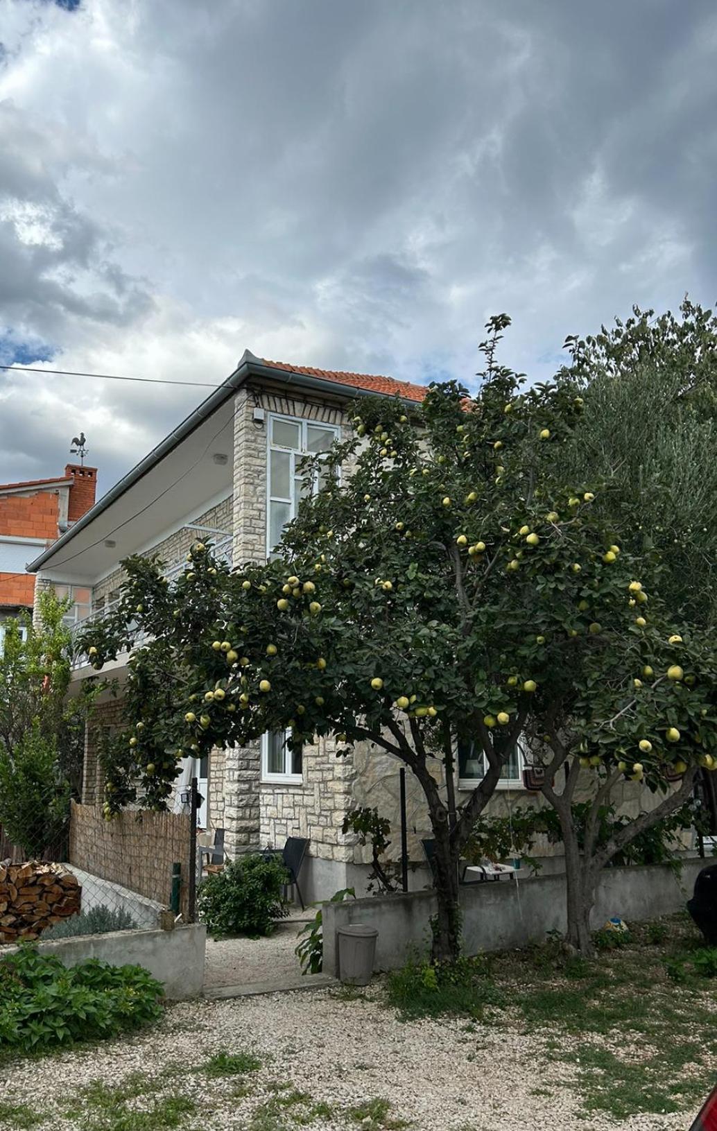 Villa Jadran Zadar Free Parking Sea View المظهر الخارجي الصورة