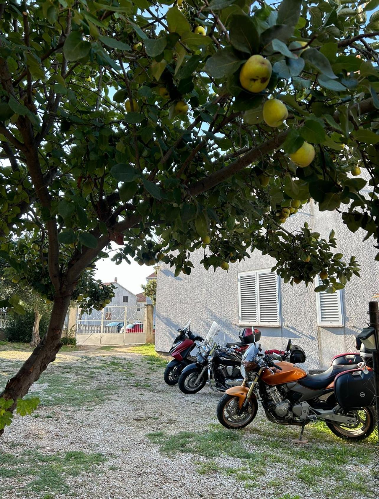 Villa Jadran Zadar Free Parking Sea View المظهر الخارجي الصورة